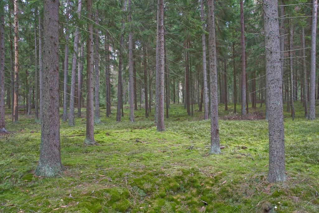 Agroturystyka Sominy Piotr Экстерьер фото