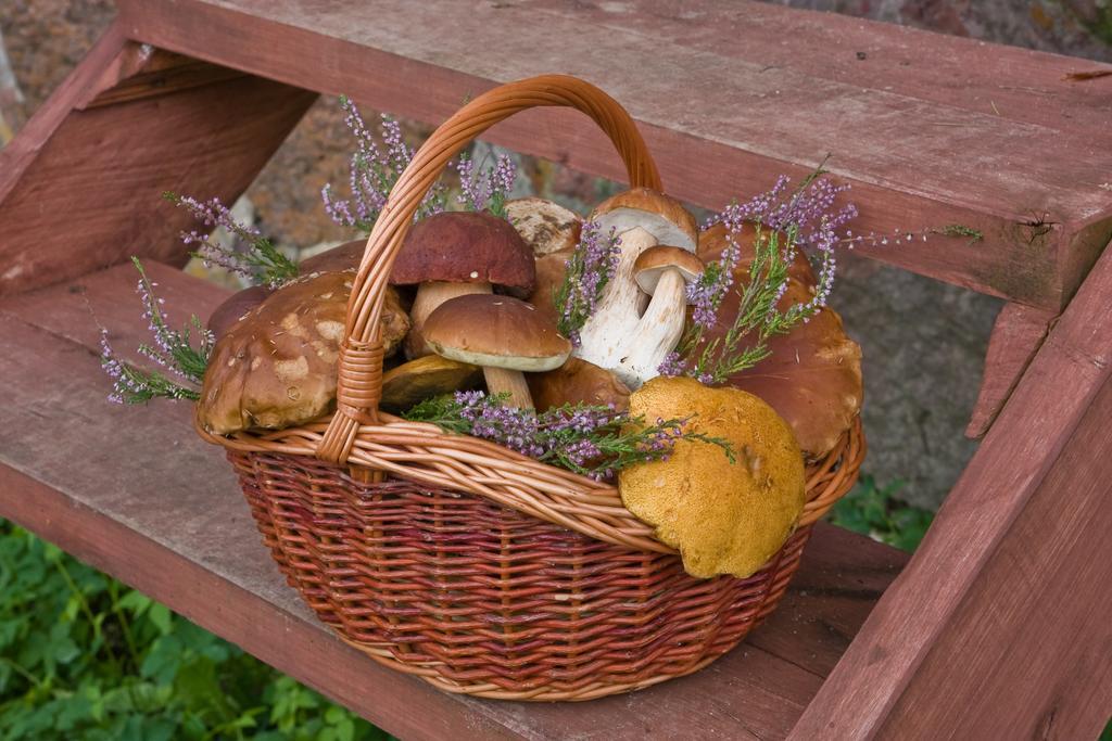 Agroturystyka Sominy Piotr Экстерьер фото