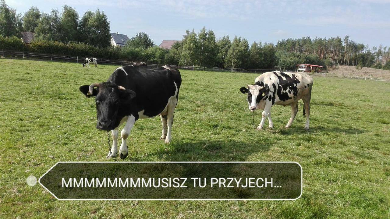 Agroturystyka Sominy Piotr Экстерьер фото